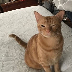 Meet your Posher, Erika